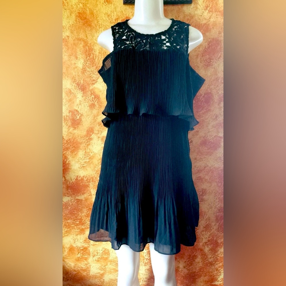 Elegant Black Pleated Dress